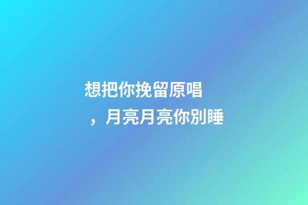 想把你挽留原唱，月亮月亮你別睡
